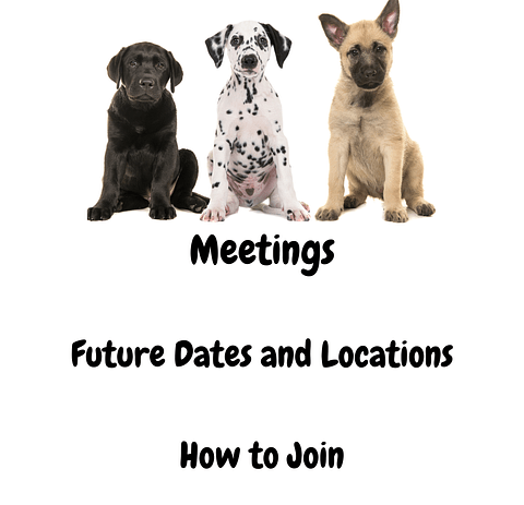 meetings7